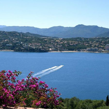 Villa Vetricella Corse Sud Olmeto  Exterior foto