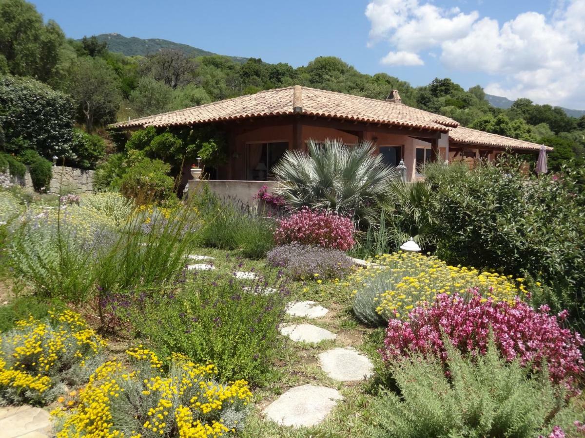 Villa Vetricella Corse Sud Olmeto  Exterior foto