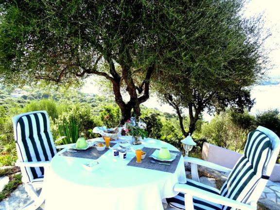 Villa Vetricella Corse Sud Olmeto  Exterior foto