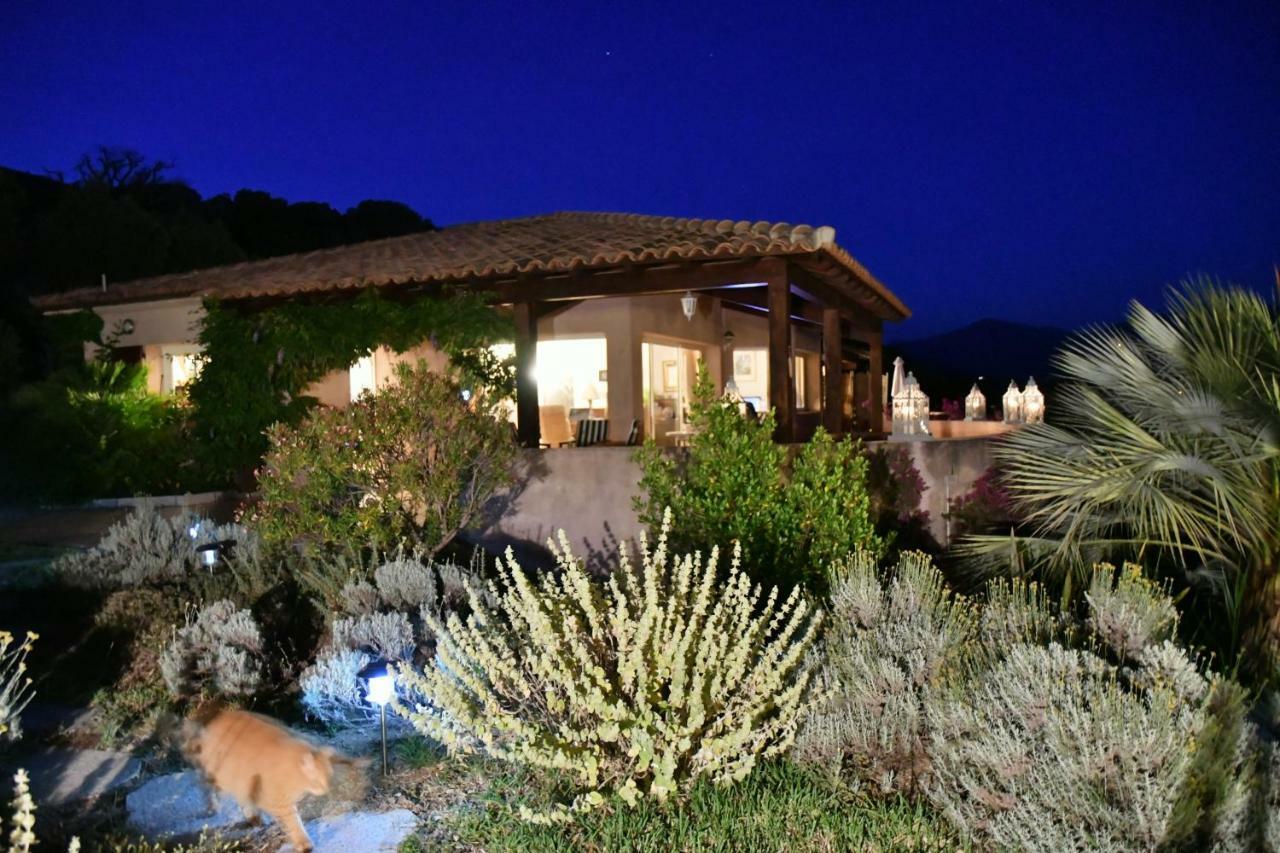 Villa Vetricella Corse Sud Olmeto  Exterior foto